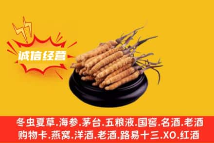 友谊县回收冬虫夏草